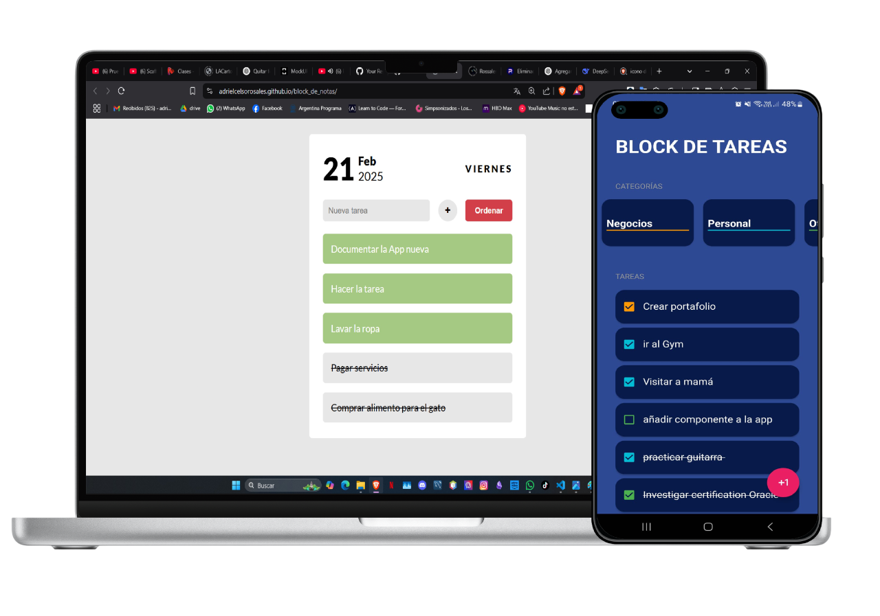 mockup site lsb express